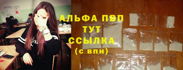 стафф Богородск