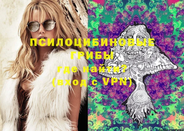 меф Богородицк
