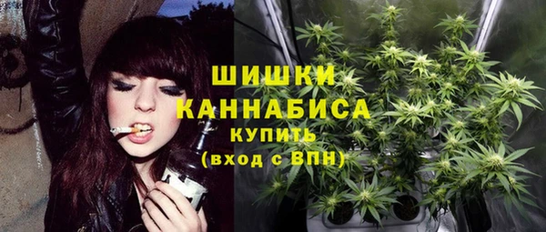 меф Богородицк
